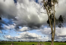 礼品订购渠道策略,礼品定价策略